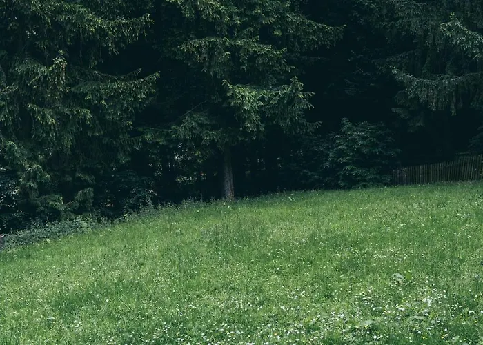 Chopina 43 Apartment